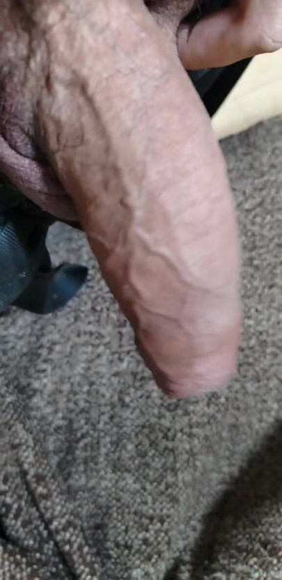 Verga，单身，马杜罗