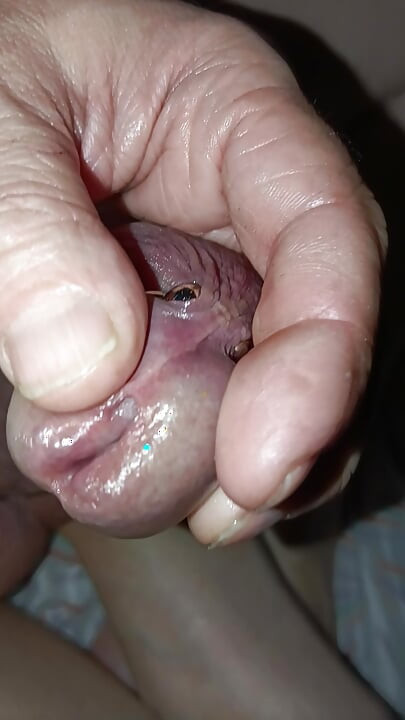 Well-veined cock with rings
