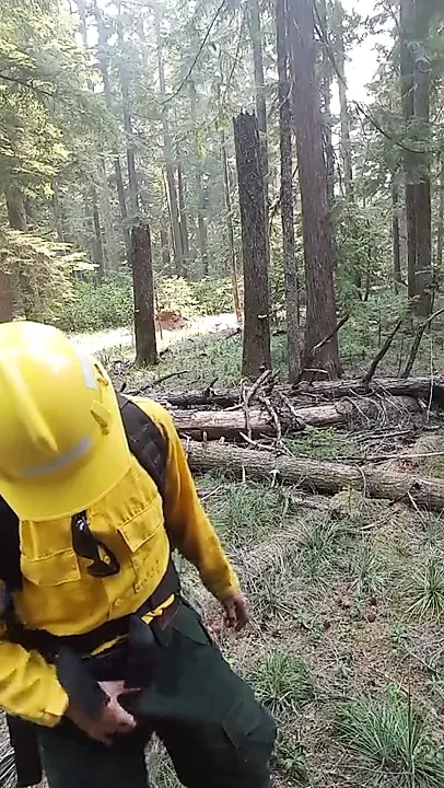 Adevărată muncitoare la incendii