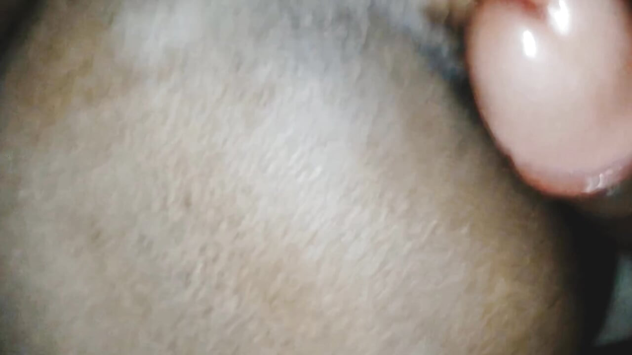 Tante desi India gaya anjing