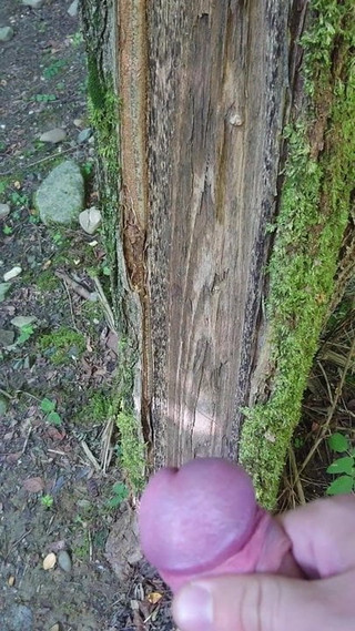 Jerking off in the wood