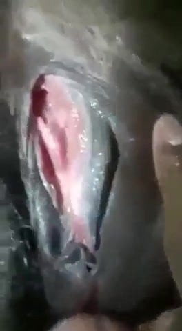 Bangladeshi maal