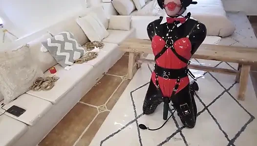 Mz13 - häschen-mädchen mit prüffenden lippen