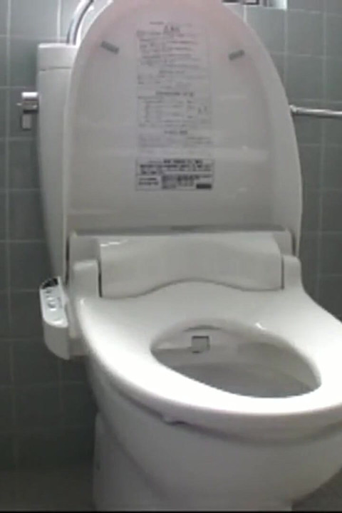 Stuck up Older Women - Toilet Masturbation Collection of 25 - Ep07