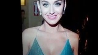 Katy Perry, hommage d'anniversaire (9)