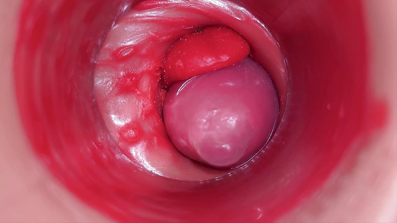 Inside a Camgirl Cervix POV Camera in Vagina with Big Dick Toy