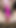 アナルプレイはパンティを使ったもので、アナルプラグを使った!バイブレーターでクリトリス指を! | クリップ 1