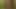 Czech teen Kiki18 masturbating in beautiful rose garden