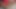 Mädchen kämpft, um ihren Quirt-Orgasmus herauszubekommen, tut es aber