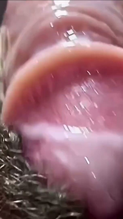 The non-stop rubbing of my stepdad's against my wet, he can't stop | Clip 1