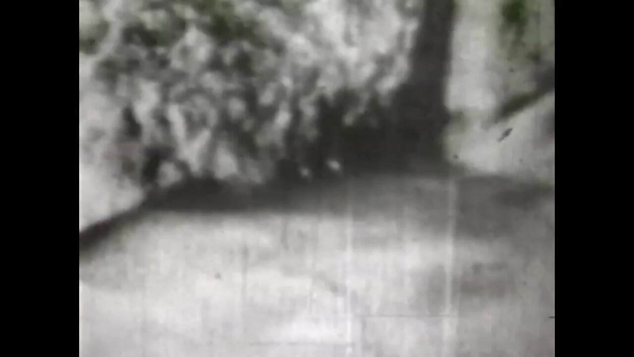 الجنس لا يتغير أبدا