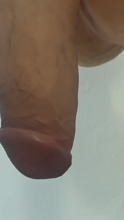 beautiful long penis with testicles