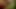 jackmeoffnow curved small limp low hanging dick erection