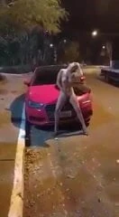 Gf kutyapózolás