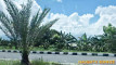 Pratinjau video