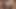 Hot Latin Girlfriend Sucks Her Boyfriend's Cock In The Room - Deep Blowjob With Deep Throat, Gagging, Tears, Saliva, Swallowing