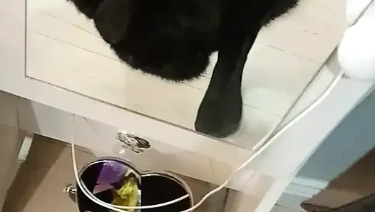 Masturbasi basah pakai stoking ketat