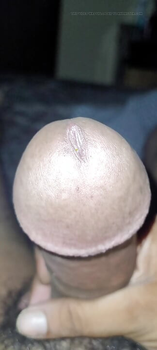 ตัดควยมุสลิม (ลันด์)