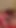 Iconic moment from "Granny Carmen Claus: Happy Holiday Harlot's Elvish Creampie 12 12 2024 CAMS14M"