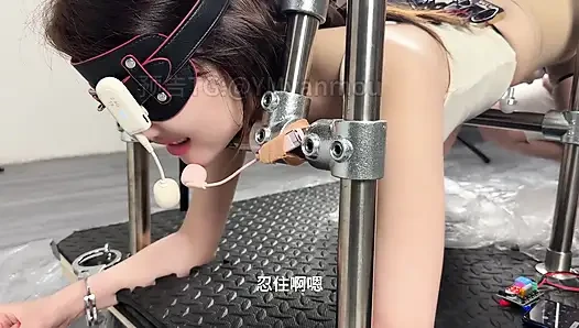 Voice-controlled Electric Shock Enema with Electric Shock Collar Spray