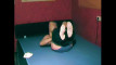 Pregled videozapisa