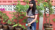 Pregled videozapisa