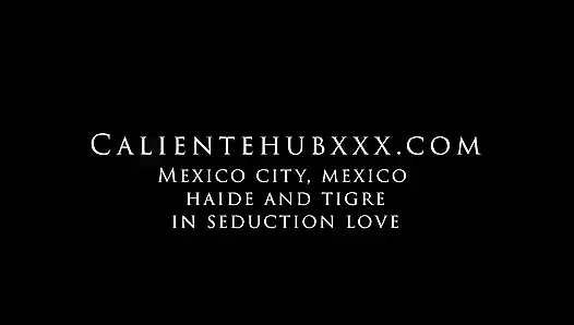Встреча Hayde и Tigre