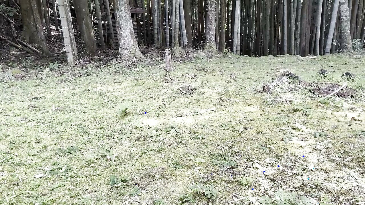 Ejaculation in the forest
