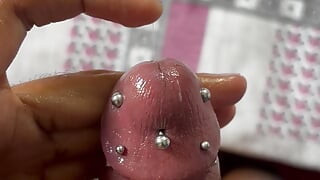 The cock was teased and massaged vigorously.