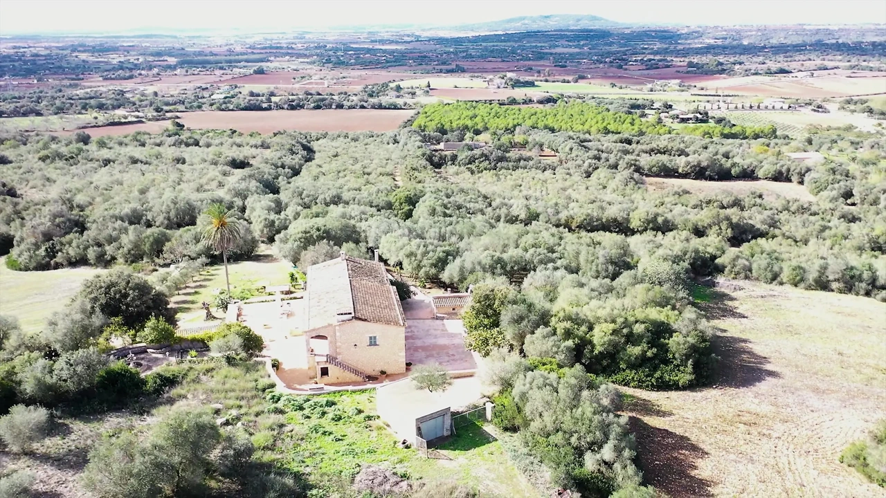 Những con đĩ hứng tình đụ tốt hơn trên Vacation_4k