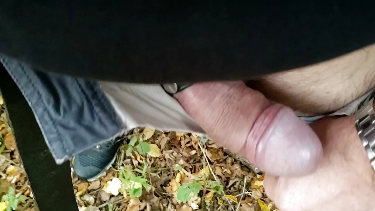Um passeio na floresta