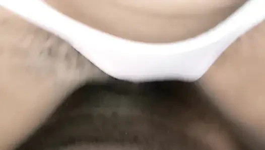 Diesen fetten schwanz reiten