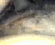 Reverse ridding the Dick