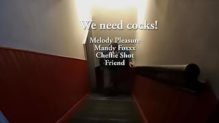 Melody Pleasure