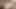 PRIVATE Private.com - Venera Maxima Milks Three Big Black Cocks!
