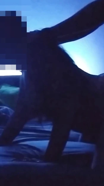 Thrilling moment from "FUCKING MY TEACHER!"