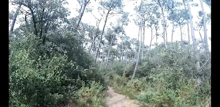 French dogging sur les chemins de la Sainte Victoirea a Aix