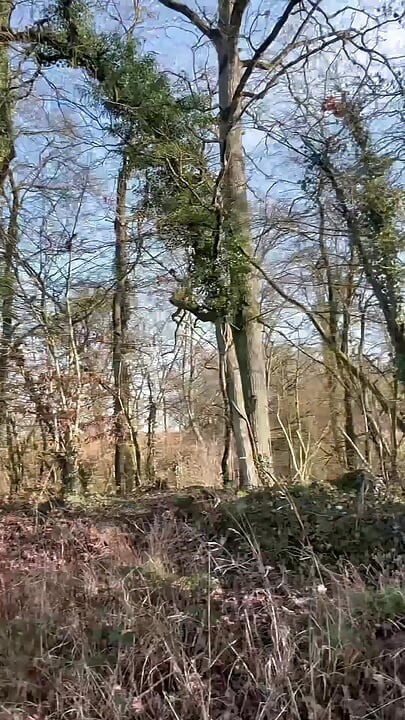 Punheta arromba na beira da estrada