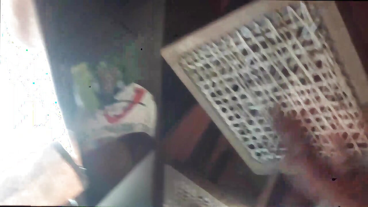 This Aunt Was Bought Home From a Party I Performed Asdj