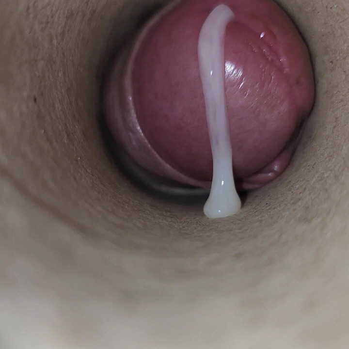 公共のトイレットペーパーホルダーに射精した