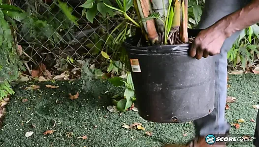 Was würde Zorayas Ex-ehemann sagen, wenn er sie jetzt sehen könnte?