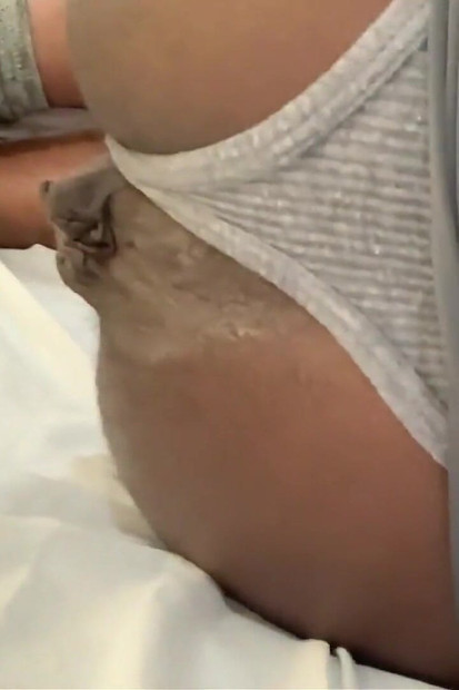 Black Boy Makes Good Use of His Loose Asshole so Dudes Can Bust Nuts - Starring Dj Buttpussy