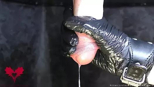Table de traite en gros plan : la maîtresse masse le sperme de la bite avec des gants en latex.