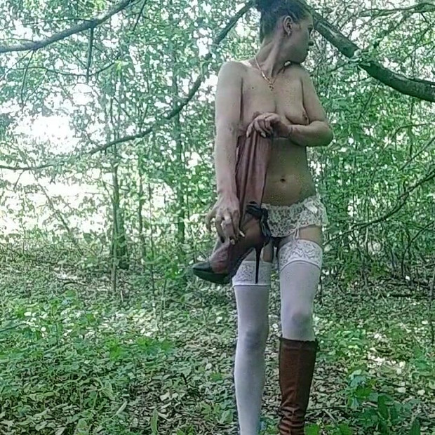 u šumi s analnim čepom