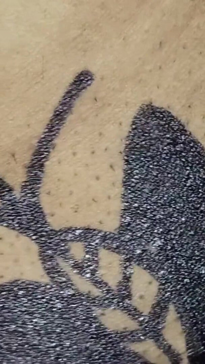Butterfly drawing sex | Clip 1