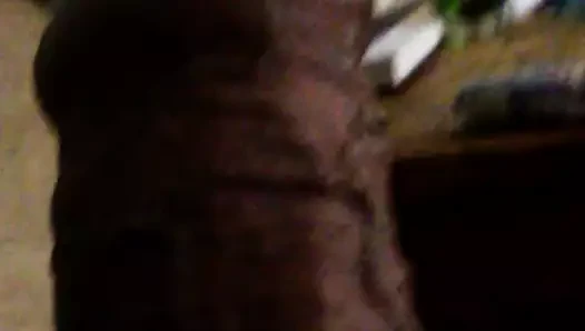 kesilmemiş horoz