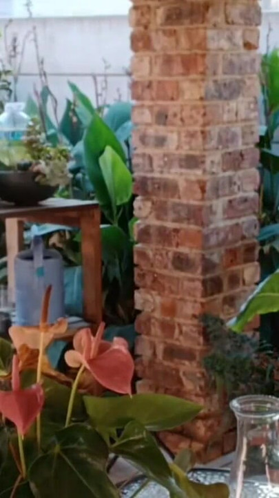 Zabava na otvorenom sa komšijskim cuckold ženom | Klip 1