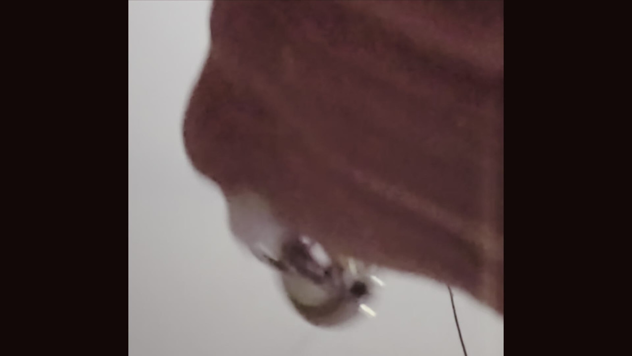 Cumming on your face with my piercing cock