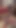 Kadın kılıklı merve rose bekaret kemeri dövmeli sarışın seksi tgirl femboy özel çoraplı leopar büyük zenci yarağıyla sikiliyor sert kedi kız travesti | Klip 1