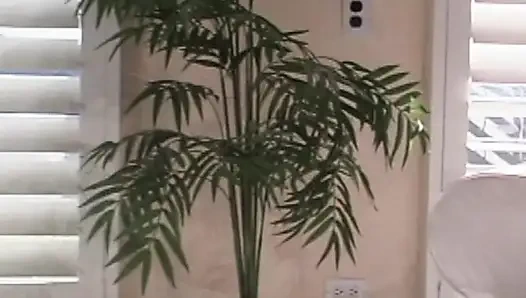 Lesbische Leidenschaft